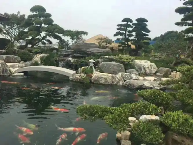 小桥流水人家  #别墅花园  #庭院设计  #庭院植物  #花园  #院子