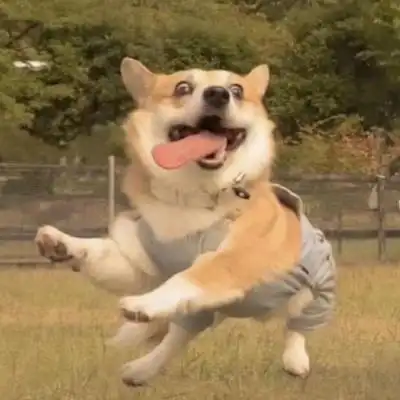 2022最新搞怪奇葩的好玩情侣头像 超个性罕见的沙雕真人微信情头_情侣