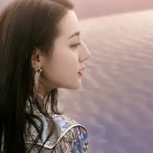 树.上有只熊头像