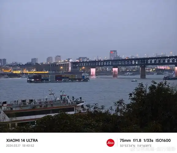 春暖花开看武汉