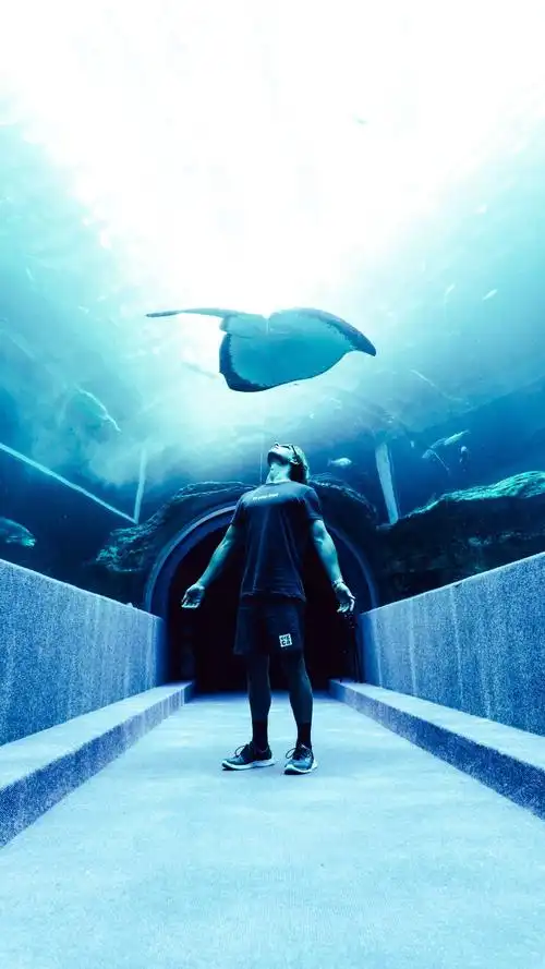 高清壁纸1080p拿图留言谢谢(*°°)=3