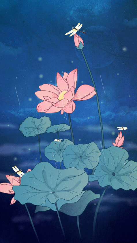 500_889竖版 竖屏gif 动态图 动图