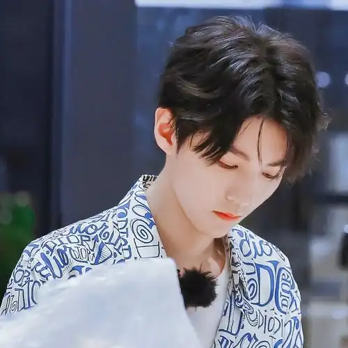 王俊凯头像.禁二改 侵删 拿标明dt小辞闪耀星
