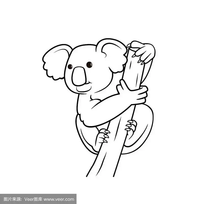 矢量插图考拉孤立在白色背景.儿童涂色书.