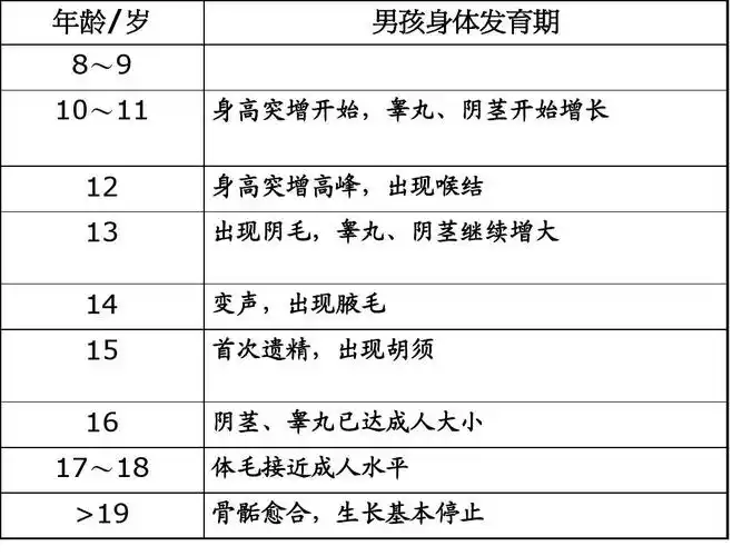 男生青春期讲座ppt