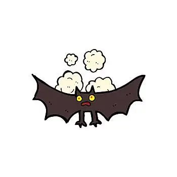 蝙蝠图片