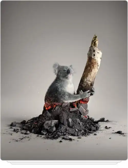 公益广告中的纪实影像