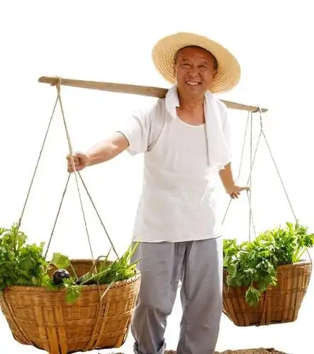 父亲节感悟:用扁担挑出来的父爱!