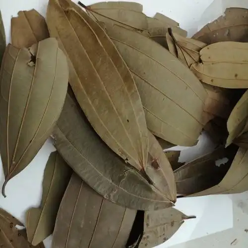 出售肉桂叶桂龙药酒配方肉桂叶功效|价格|厂家|多少钱-全球塑胶网