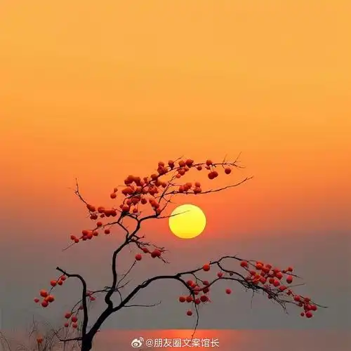 背景图##朋友圈背景图##微信背景图##朋友圈文案