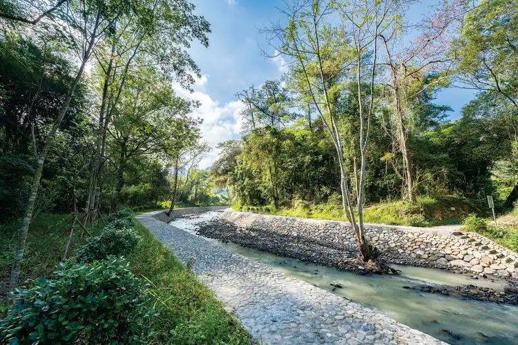 碧坑村青山秀水乡村美