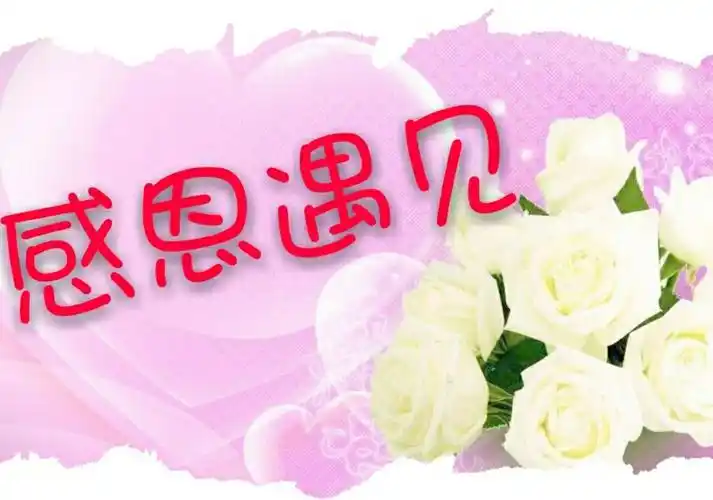 感恩遇见,感谢有你,感动自己