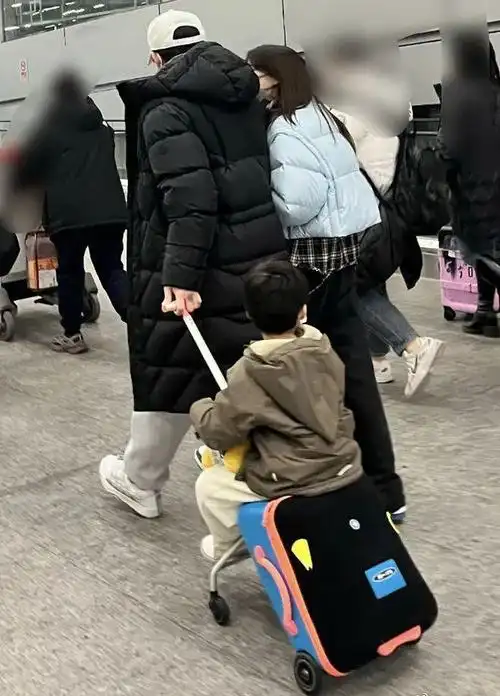 苏星一家三口同框!