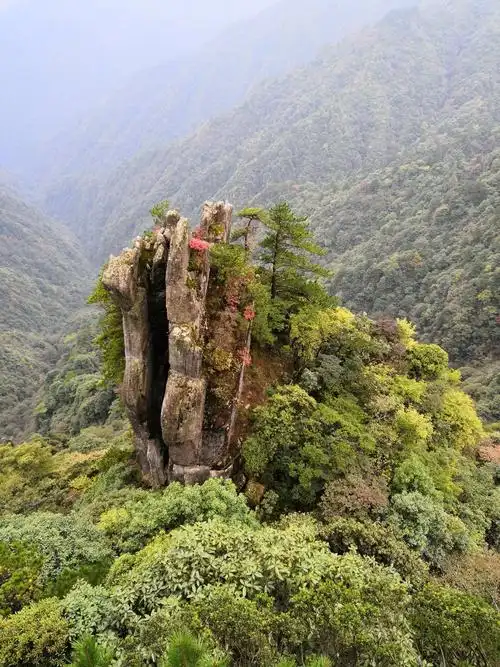 宜春游2018.10.08-2018.10.11