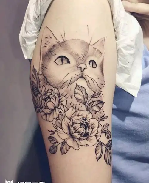 猫纹身图片_手臂纹身图案