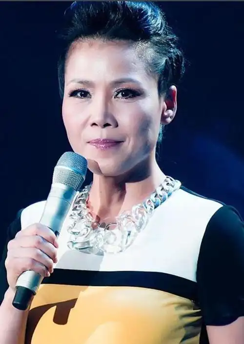 20年后,再看那英,田震各自的境遇,差距一目了然