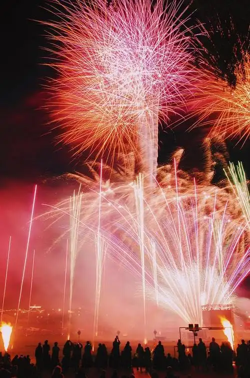 想要好看的烟花图