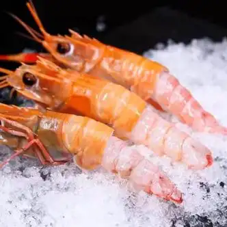 栗斓优海鳌虾日料刺身海捕鲜活船冻超大鳌虾生吃虾即食甜虾海鲜水产