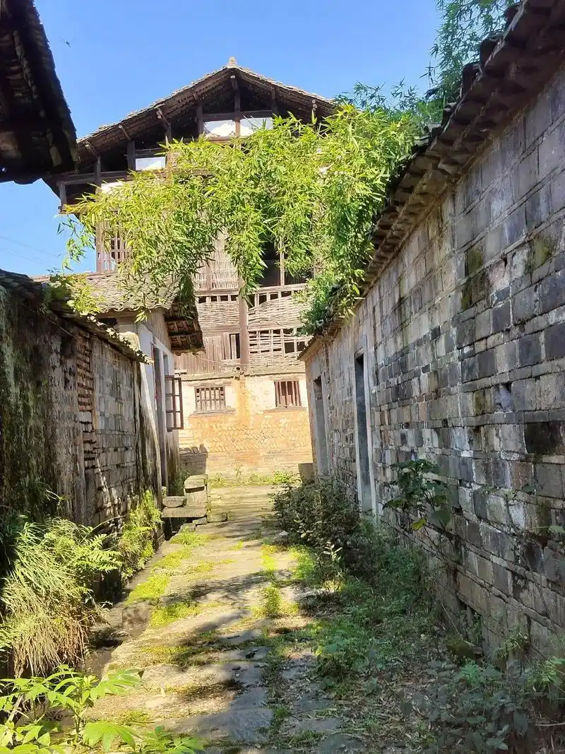 江西省宜丰县天宝古村的古巷古井(请帅哥美女找一找你是喝哪口井 - 抖