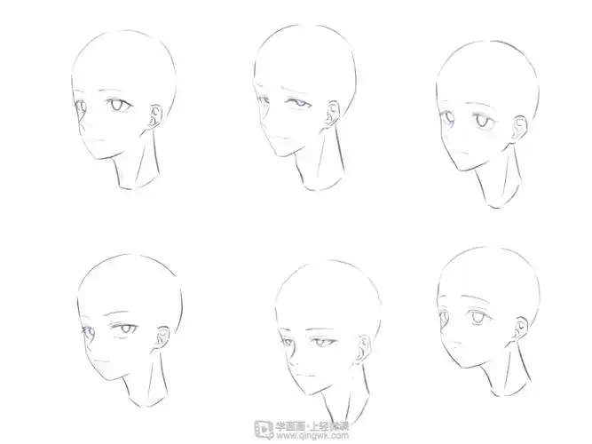 半侧面75的五官位置和画法