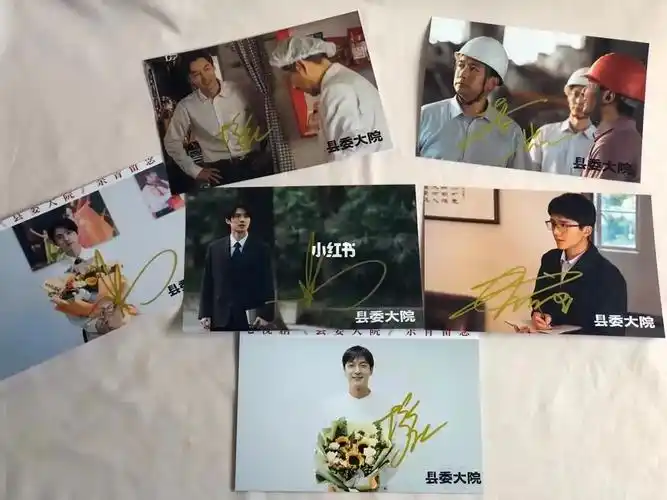 出刘昊然胡歌张新成县委大院签名照