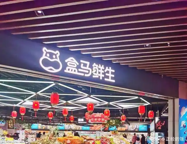 探店沈阳第一家盒马鲜生,看看哪些值得买,付款方式略带强制性