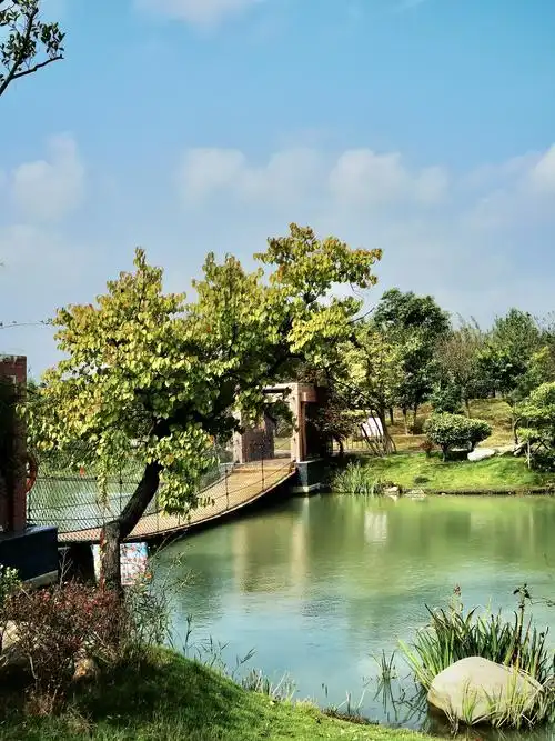 大美阜宁三日游,2020/9/28—9/30