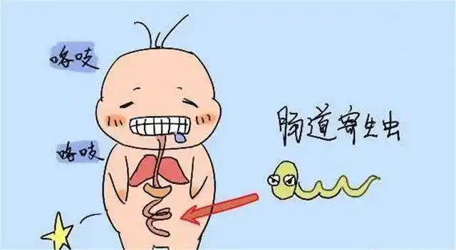 另一种是寄生在大肠内的蛲虫,会在孩子入睡以后,爬到肛门口处产卵