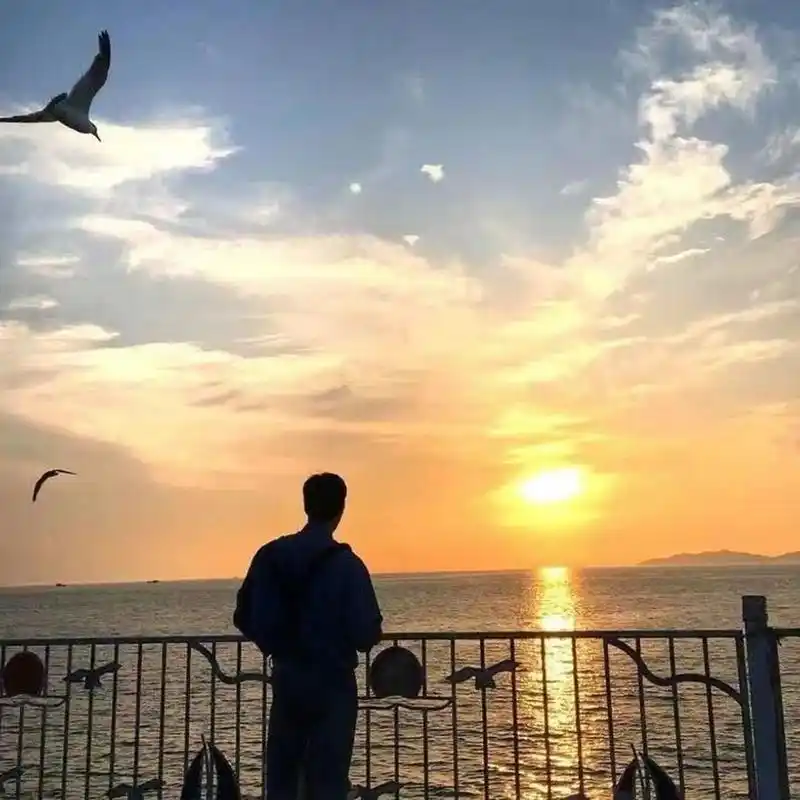 夕阳余晖下,一名男子伫立在海边,他的视线穿越了无边的