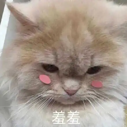 害羞捂脸的表情包|我都不好意思了