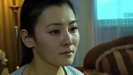 电视剧红蝎子全集