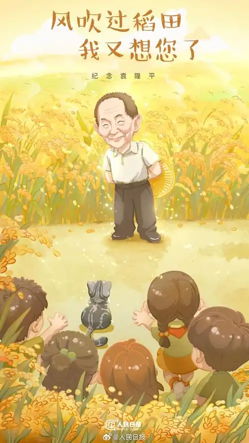 袁隆平诞辰94周年,风吹稻田我们又想念您了