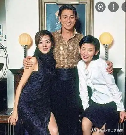 梅艳芳和刘德华的关系(刘德华与梅艳芳的关系到底有多好)(12)