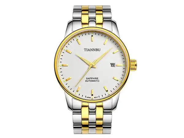 天博(tiannbu)手表男士表全自动机械表防水手表