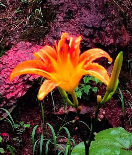 金华市武义县东升路1号