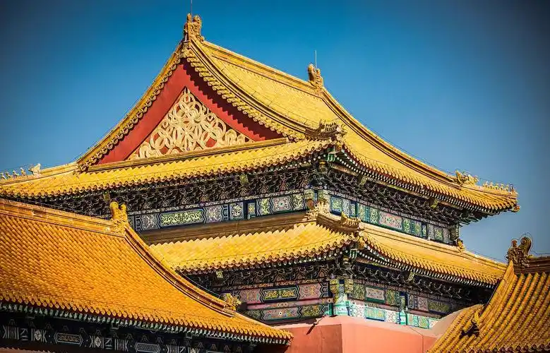 600多年来故宫屋顶为何连鸟粪都没有?专家道破玄机,令人叹服!|故宫|屋