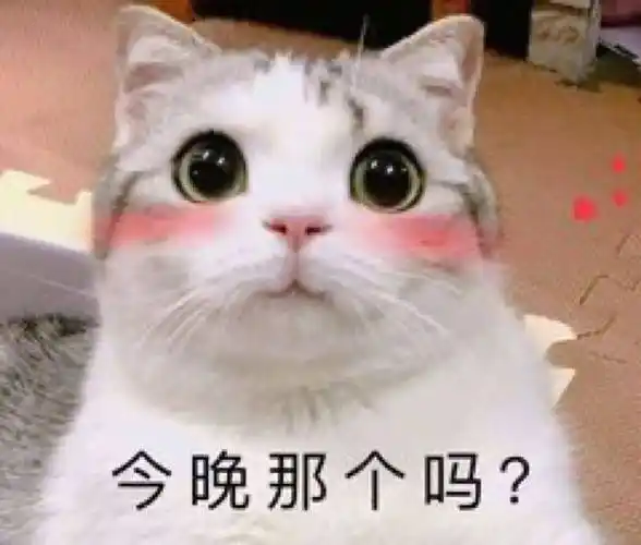 斗图表情包 - 金馆长表情库 - 真正的斗图网站 - pkdoutu.com