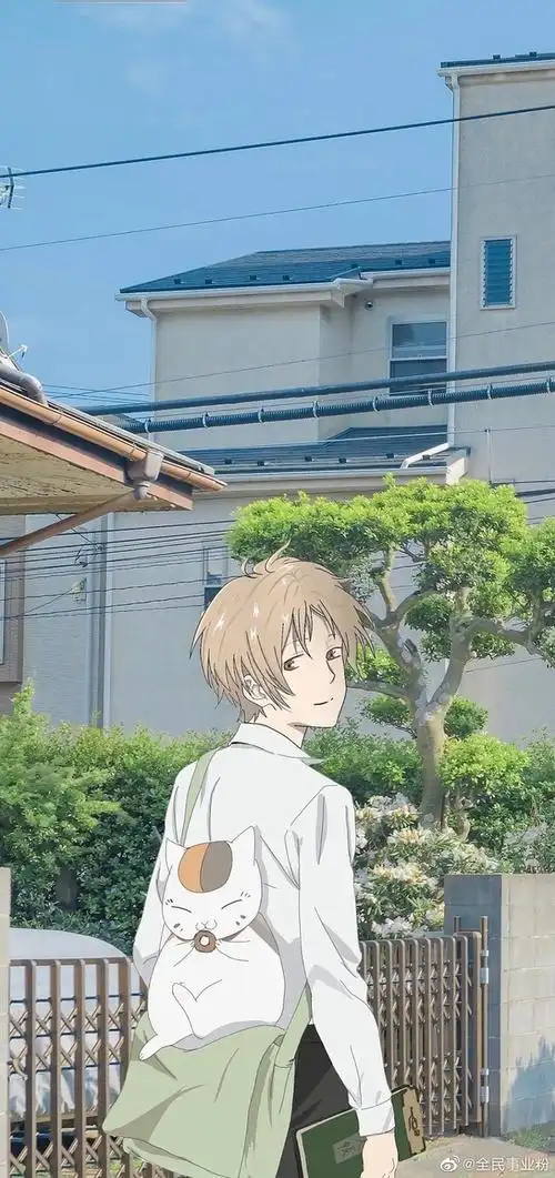 安利几个动漫小绿和小蓝夏目友人帐治愈系的