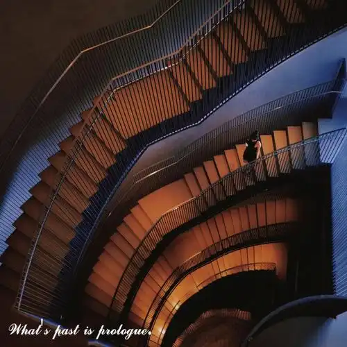 🎀探索黄浦江畔的文化瑰宝||震旦博物馆🎀 人生路长,大度何妨.