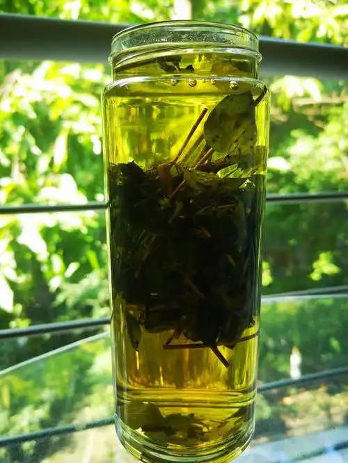 香薷草,因其香味浓郁,又俗称香浓草.