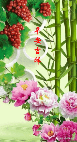 490_900竖版 竖屏gif 动态图 动图