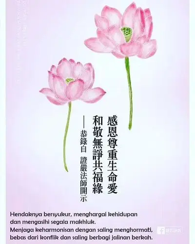 感恩日记20181120