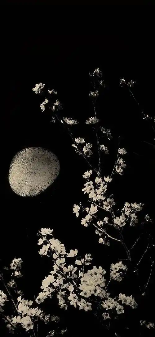 壁纸 | 小众简约 锁屏壁纸