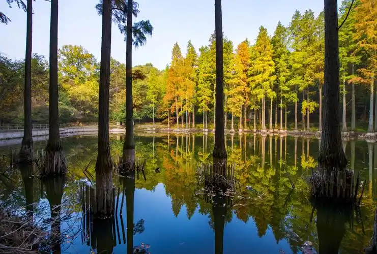 波尔登森林公园