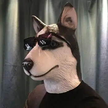 哈士奇 墨镜【图片 价格 品牌 报价】-京东