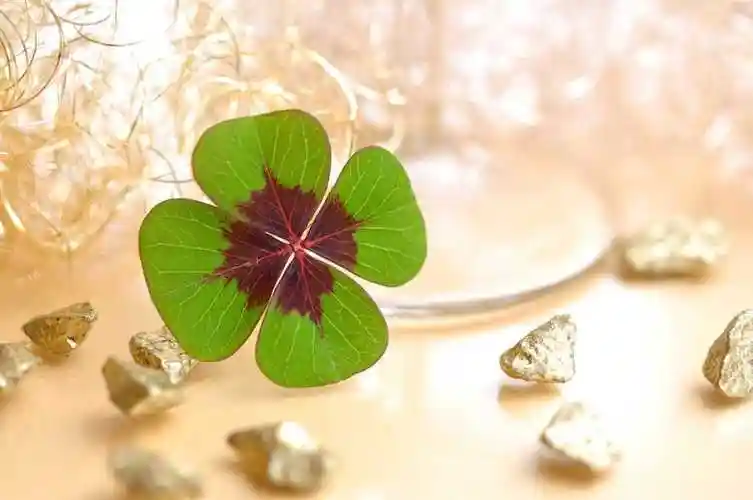 格   式:jpg更新时间:2021-10-13 22:12素材模式:会员免费描述:四叶草