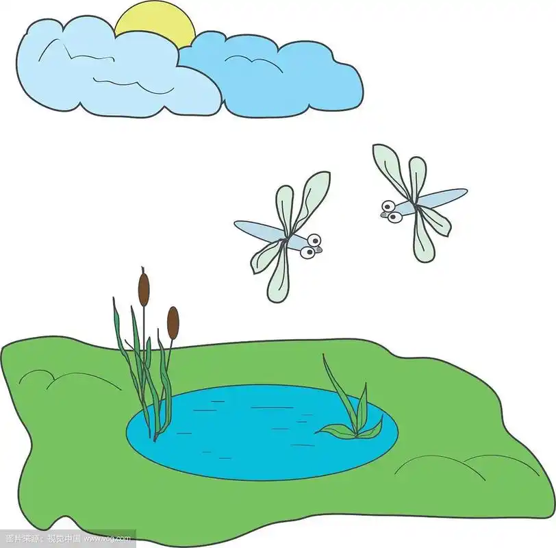 蜻蜓和池塘