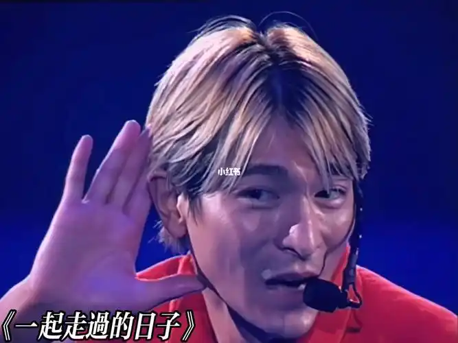 最喜欢刘德华的这场演唱会华仔99经典上