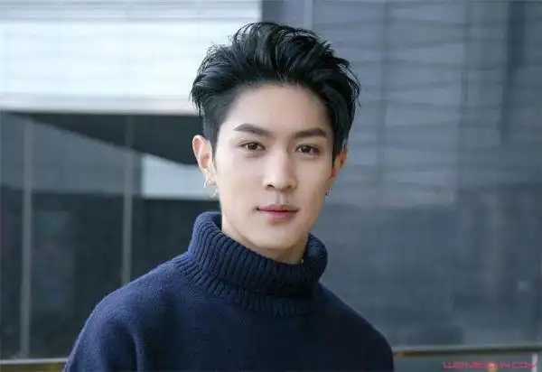 马伯骞和马仲骞是什么关系(是双胞胎吗)插图