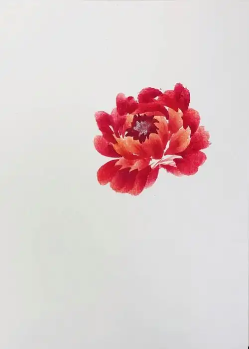 牡丹花(切瓣法)—丹红笑春风